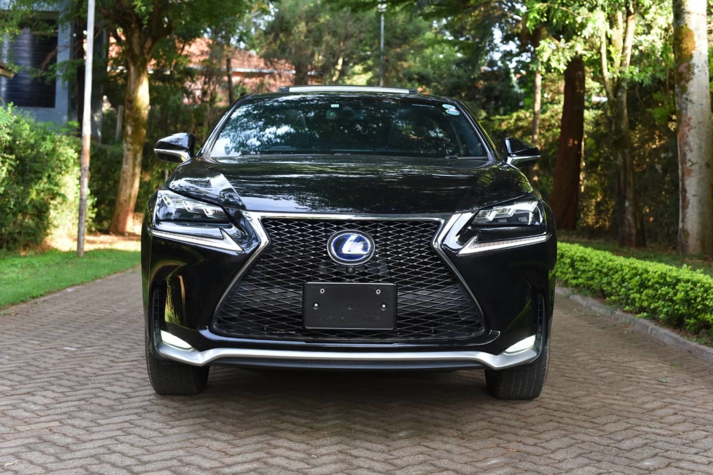 2016-lexus-nx300h