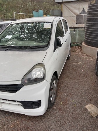 suzuki-alto
