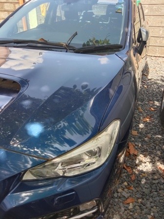 subaru-impreza-big-2