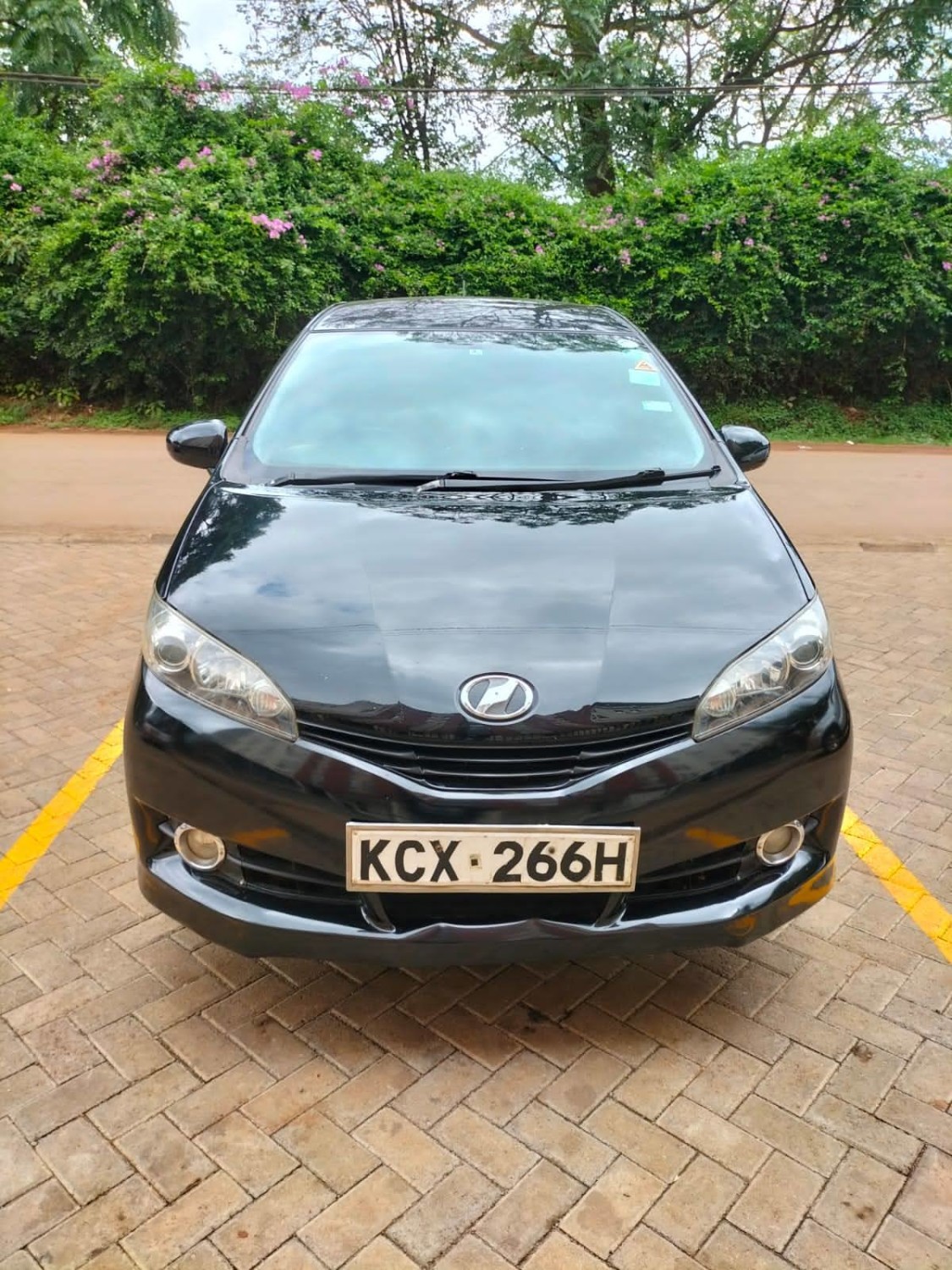 toyota-wish