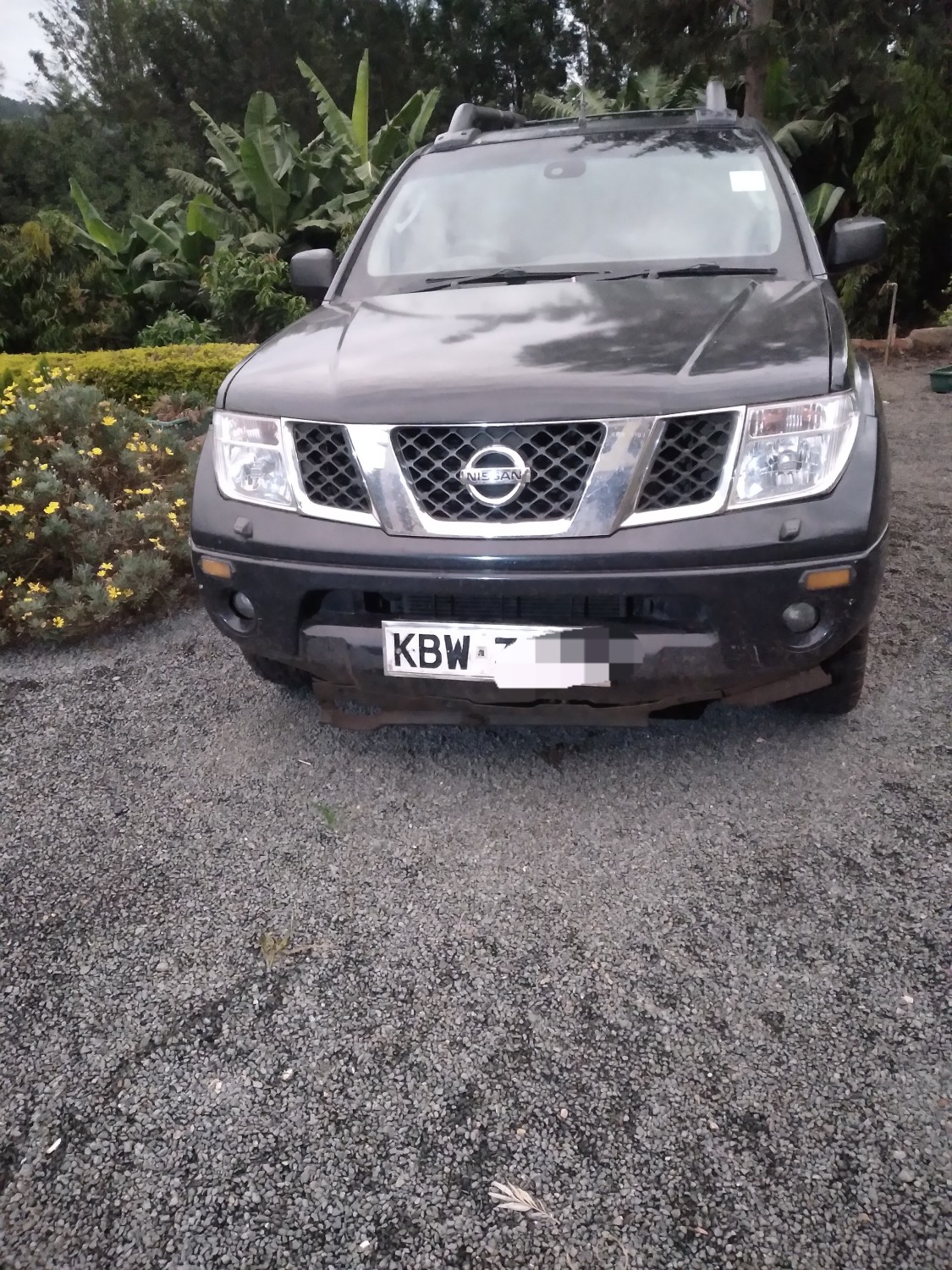 2006-nissan-navara-aventura-for-quick-sale