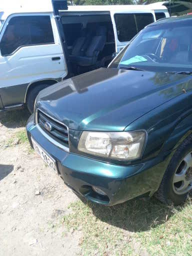 subaru-forester-big-2