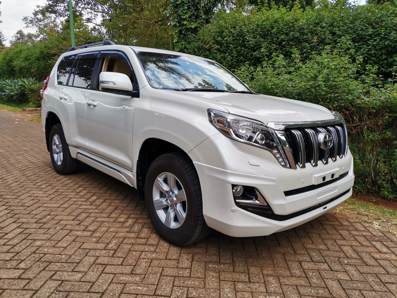toyota-landcruiser-prado