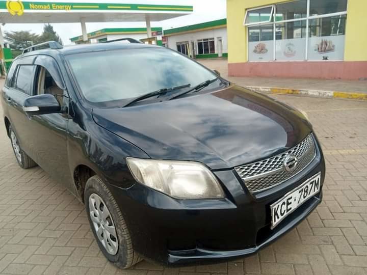 toyota-fielder-big-1