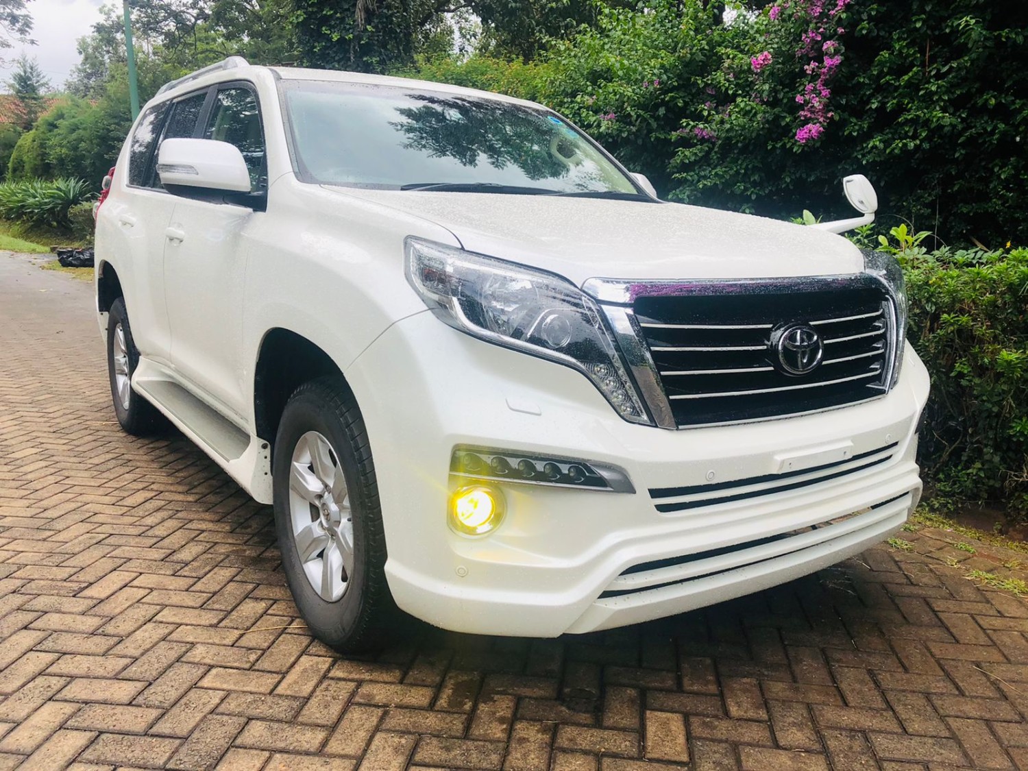 toyota-landcruiser-v8