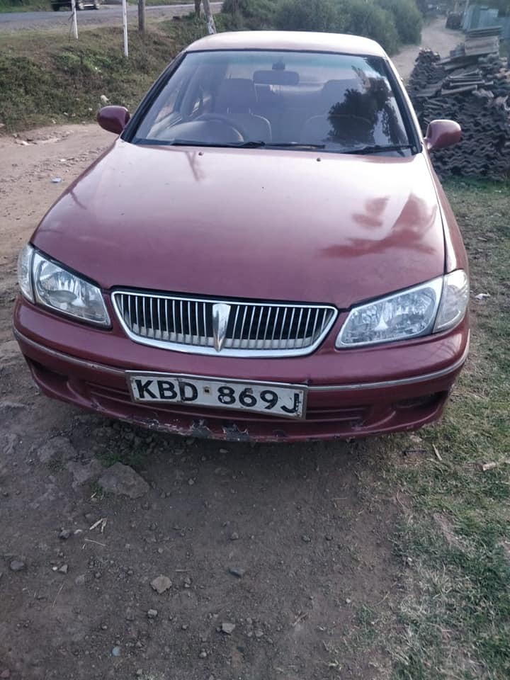 nissan-sunny-big-2