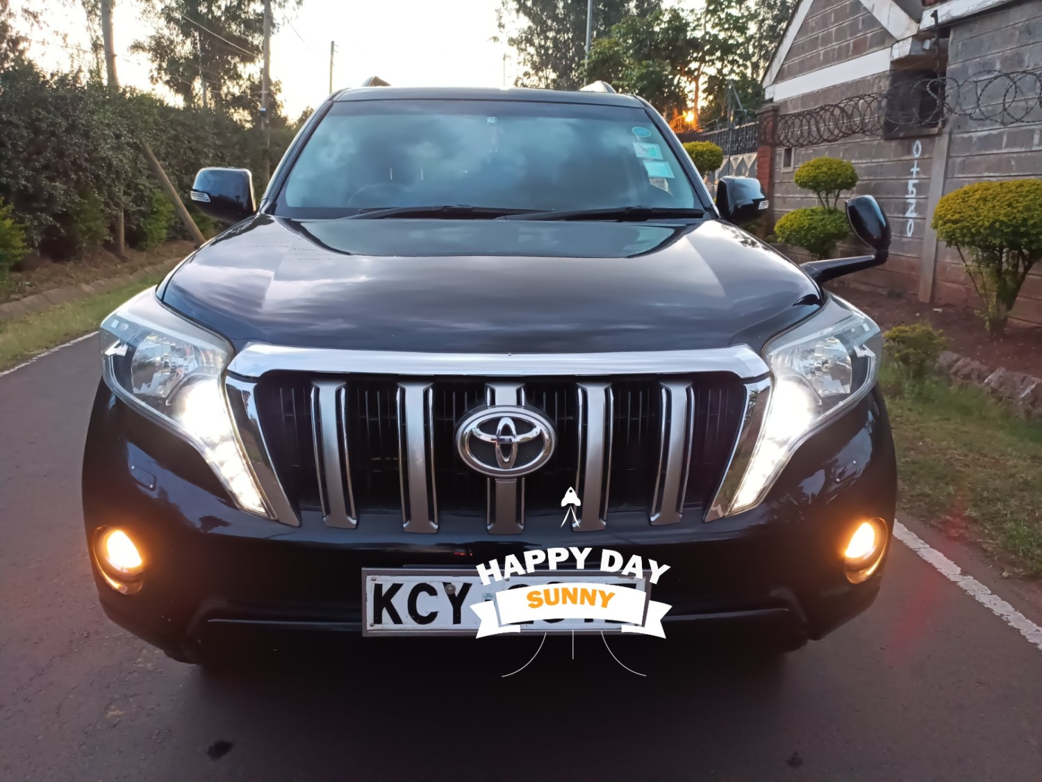 prado-150